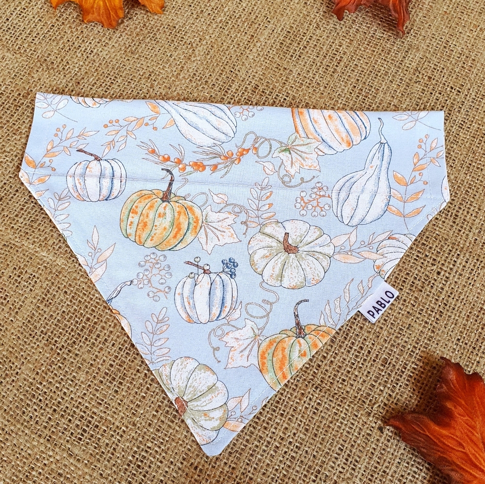 🐶 5 for $15 * Pablo Reversible Pumpkin Fall Autumn Cotton Dog Bandana - Picture 5 of 9